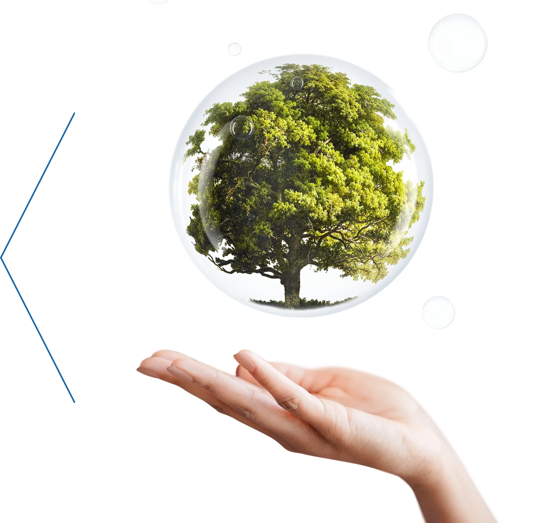 Awards or Practical Implementation Projects Awards or Practical Implementation Projects